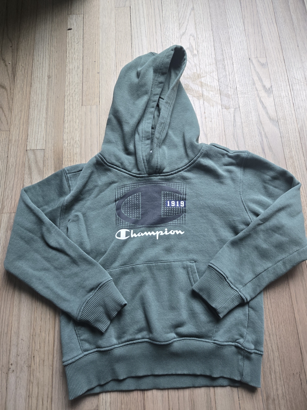 ✨ Champion Pullover Hoodie Boys Size 7 ✨ Sage green